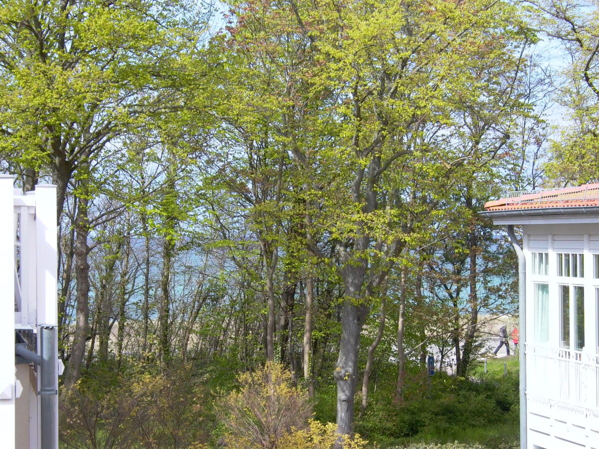 tlw. Seeblick (Wohnzimmerfenster)