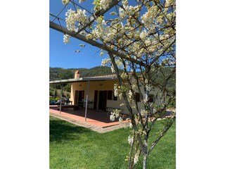 Casa per le vacanze Suvereto Registrazione all'aperto 7