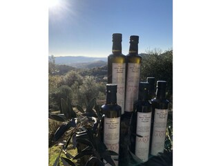 Casa per le vacanze Suvereto Registrazione all'aperto 17