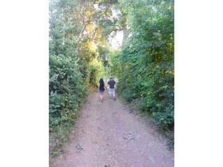 Casa per le vacanze Suvereto Ambiente 34