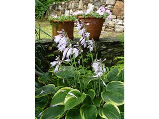 Casa per le vacanze Pettenasco Registrazione all'aperto 15