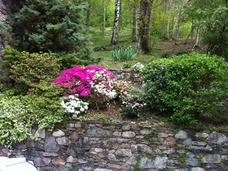 Casa per le vacanze Pettenasco Registrazione all'aperto 16