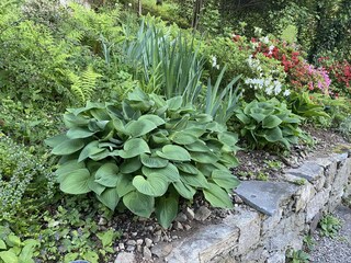 Casa per le vacanze Pettenasco Registrazione all'aperto 19