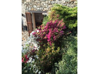 Casa per le vacanze Pettenasco Registrazione all'aperto 12