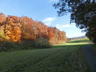 Casa de vacaciones Maroldsweisach Grabación al aire libre 6