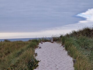 Holiday apartment Zingst Environment 31