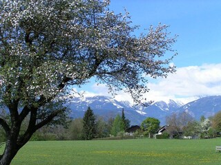 Frühling - im Hintergrund rechts das Haus 13