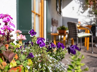 Appartement Halblech  39