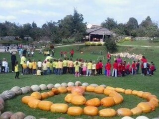 Villa Žminj Entorno 26