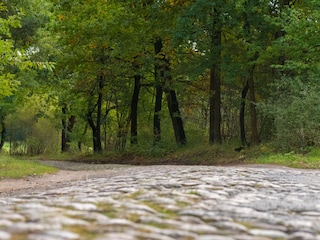 Natur pur vor der Tür