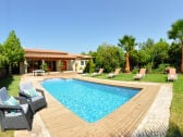 Pool and Palms