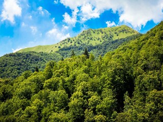 Casa per le vacanze Pescaglia Ambiente 35
