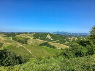 Cottage Camino Environment 29