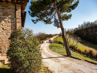 Vakantiehuisje Camino Buitenaudio-opname 10