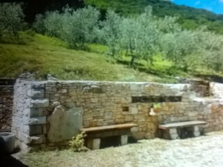 Parking area and olive trees