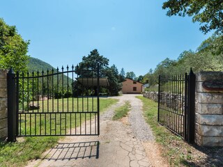 Driveway to the house