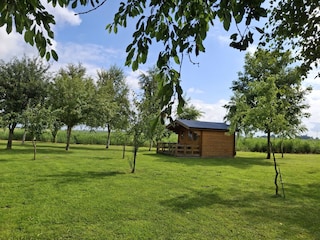 Obstgarten