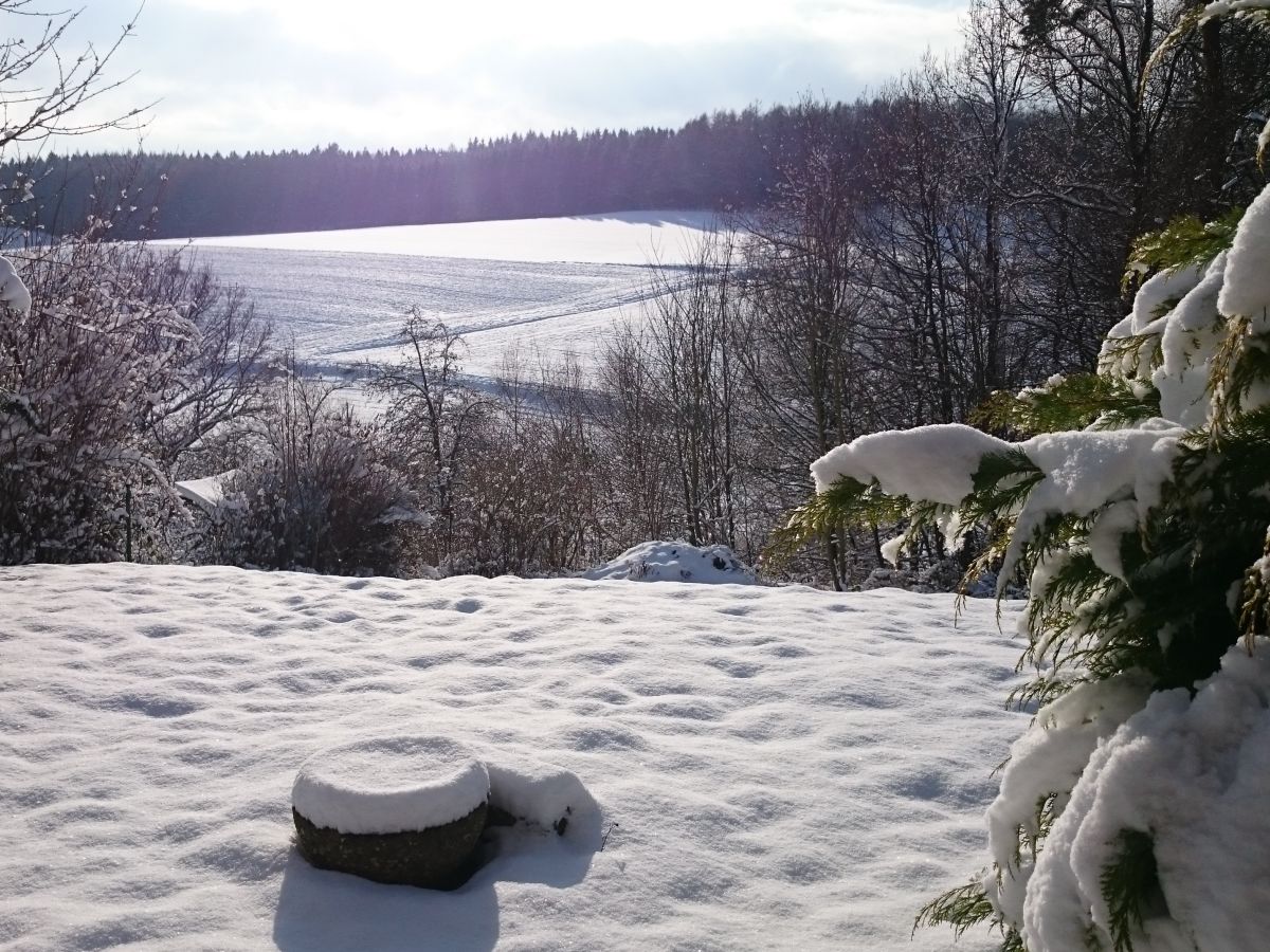 Blick von der Terrasse in Garten und Natur