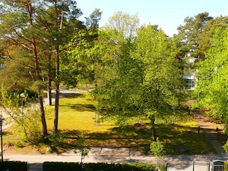 Ausblick Schlafzimmer