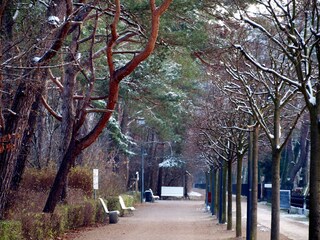 Promenade im Winter