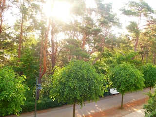 Promenade im Sommer