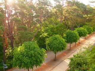 Promenade im Sommer