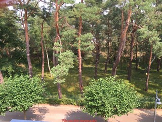 Vom Balkon in die Düne schauen