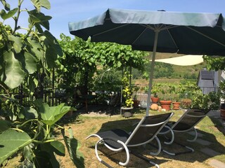 Appartamento per vacanze Bullay Registrazione all'aperto 6