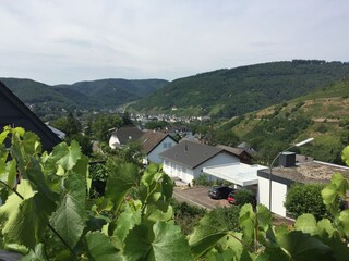 Appartement de vacances Bullay Environnement 4