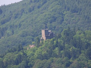 Vakantieappartement Bullay  18