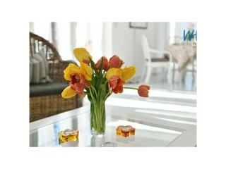 Apartamento de vacaciones Tidofeld  22