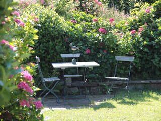 Vakantieappartement Scharbeutz Buitenaudio-opname 7