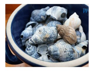 Vakantieappartement Tidofeld  22