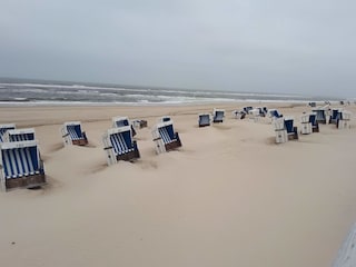 kurz nach dem Wind