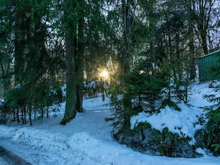Ferienhaus Winterberg Umgebung 26