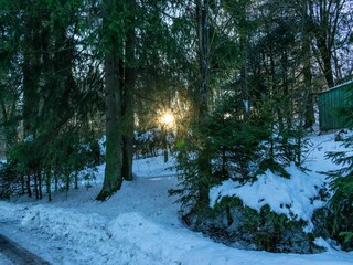 Maison de vacances Winterberg Environnement 26