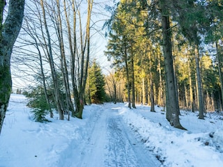 Ferienhaus Winterberg Umgebung 27
