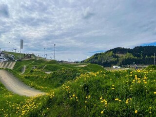 Maison de vacances Winterberg Environnement 29