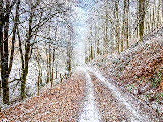 Ferienhaus Winterberg Umgebung 36