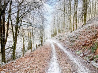 Maison de vacances Winterberg Environnement 36
