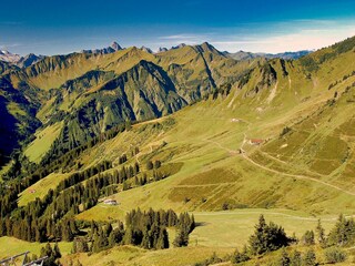 Am Walmendinger Horn