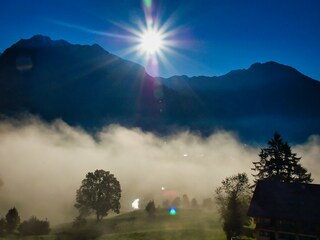 Blick vom Balkon