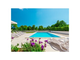 Villa Svetvinčenat Buitenaudio-opname 5
