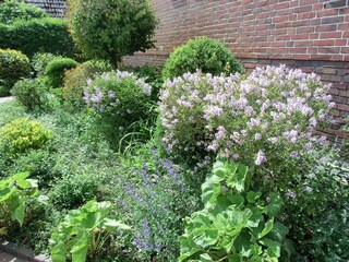 Appartamento per vacanze Langeoog Registrazione all'aperto 4