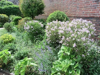 Appartement de vacances Langeoog Enregistrement extérieur 4