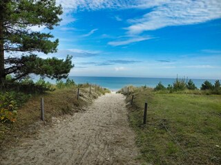 Vakantiehuis Baabe Omgeving 20