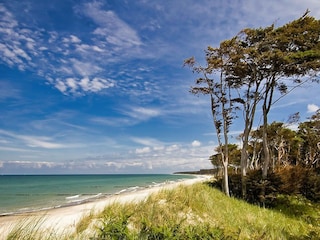 Natur und Entspannung pur