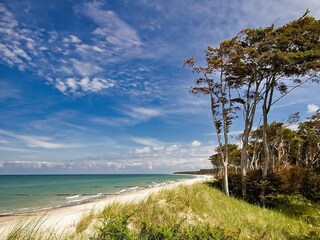 Vakantiehuis Baabe Omgeving 22