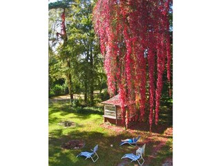 Villa Biesenthal Außenaufnahme 5