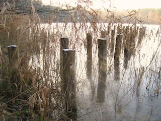 Villa Biesenthal Außenaufnahme 7